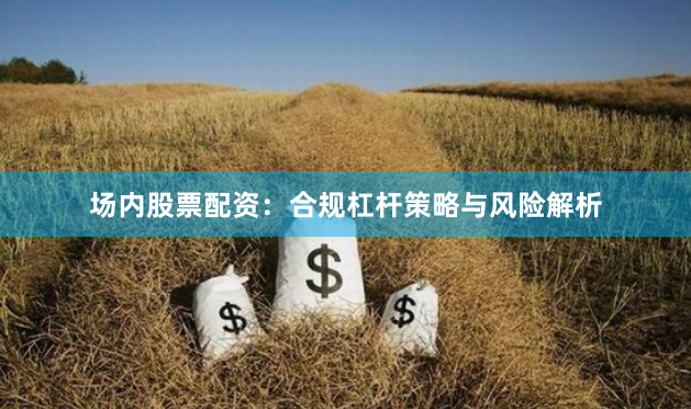 场内股票配资：合规杠杆策略与风险解析